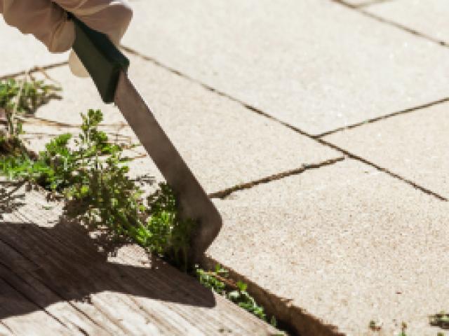 Bienvenue sur le site de D.Jardin