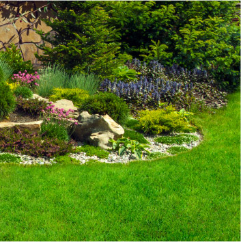 Création de jardin